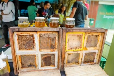 Medida provisória abre crédito orçamentário para apoiar agricultura familiar afetada por tarifaço