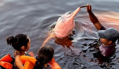 Insegurança é barreira para 62% das mulheres viajarem sozinhas