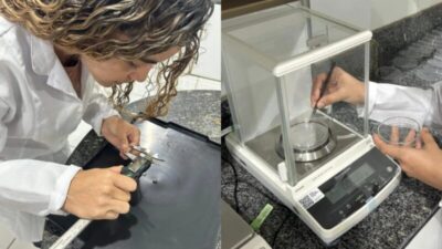 Uema estuda inseto como proteína sustentável