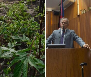 Júlio Mendonça denuncia na tribuna pulverização aérea irregular e cobra fiscalização no Maranhão