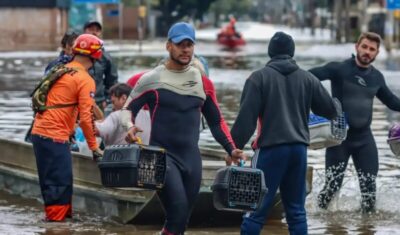 Lei cria Política de Acolhimento para animais resgatados em desastres