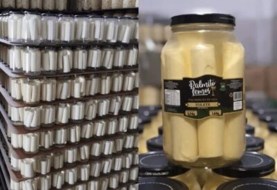 Anvisa proíbe venda de palmito por irregularidades sanitárias