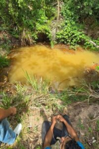 Projeto Nascentes: Parceira da SEMMAM e IFMA fortalece política ambiental em Codó