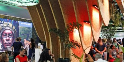 COP30 discute meios de aumentar o número de árvores nas cidades