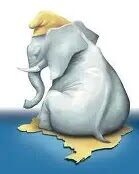 O DINISMO VAI DESAPARECER A PARTIR DAS PRÓXIMAS ELEIÇÕES QUANDO O ÚLTIMO DINISTA SE “ENFORCAR NAS PRÓPRIAS TRIPAS”