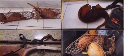 Polícia prende dois homens por caça ilegal na BR-230, em Pastos Bons; eles foram liberados após fiança