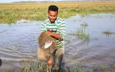 Anajatuba, Matinha, Pedro do Rosário, Pinheiro, São João Batista e Viana terão entrevistas para comprovação de pescadores artesanais