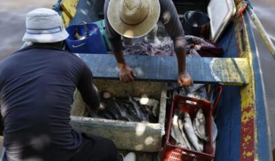 Pescadores beneficiados pelo Seguro-Defeso recebem 6º lote nesta terça