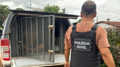 Assista: Acusado de tráfico entrega em Parnarama onde a droga estava escondida