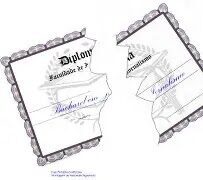 BRAIDE RASGOU O DIPLOMA ? NA FACULDADE DE DIREITO QUE O PREFEITO ESTUDOU UMA EMENDA DE VEREADOR NÃO PODE ALTERAR A LEI ORGÂNICA MUNICIPAL? ENTÃO PARA QUE ELE FOI ELEITO?