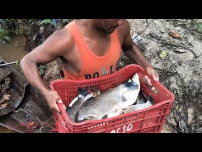 Pescadores profissionais têm até dia 31 para comprovar atividade