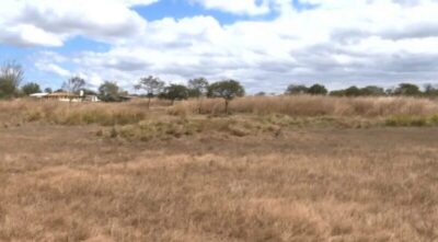 Seca grave castiga quase 70% do território maranhense