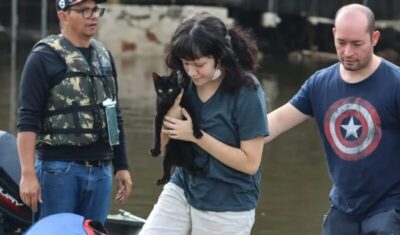 Senado aprova política de proteção a animais resgatados em desastres