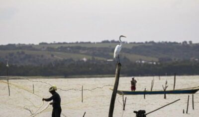 Sexto lote do seguro-defeso será disponibilizado na terça-feira