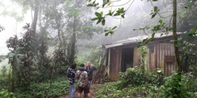 Na Amazônia, quilombos preservam 92% de sua vegetação nativa