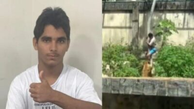 Para diretor de presídio, fatalidade com jovem que invadiu jaula de leoa já era esperada