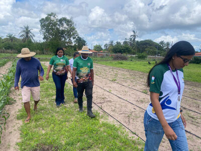 Secretaria de Agricultura realiza visitas técnicas para fortalecer a produção rural em Araioses