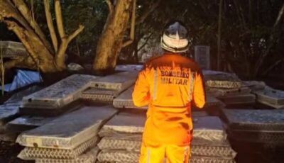 Tentativa de resgate de jovem maranhense em árvore ultrapassa 60 horas em Salvador