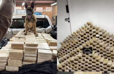 Cão da PM ajuda PF a localizar bunker com 613 kg de cocaína em galpão de fachada em Blumenau