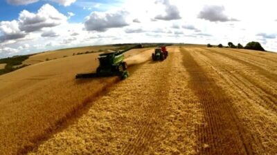 Lei do Maranhão segue em vigor, após STF reiniciar julgamento sobre suspensão de processos da moratória de soja