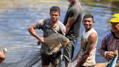 Gestão André da Ralpnet entrega 30 toneladas de pescado na Semana Santa em Pinheiro
