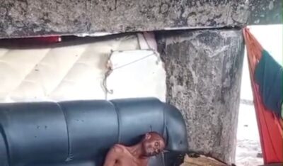 Sábado macabro: Grande Ilha de São Luís tem série de homicídios e achados de cadáveres e um homem foi encontrado em baixo da ponte do bairro da Areinha