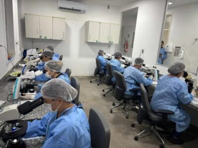 Governo capacita profissionais de saúde de 11 municípios para o diagnóstico da tuberculose no Maranhão