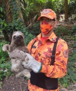 MA registra mais de 3,7 mil ocorrências envolvendo animais silvestres