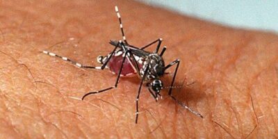 Casos de dengue caem 75% no Brasil nos primeiros meses de 2026