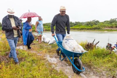 Peixe da Terra: distribuição de peixes 100% de produtores locais movimenta economia de Presidente Sarney