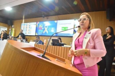 Flávia Berthier propõe instalação de câmeras em unidades de ensino infantil do Município