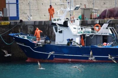 Projeto facilita habilitação de aquaviário para pescadores