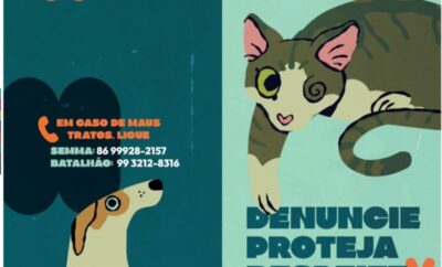 Timon avança na proteção animal com campanha contra maus-tratos coordenada pela SEMMA