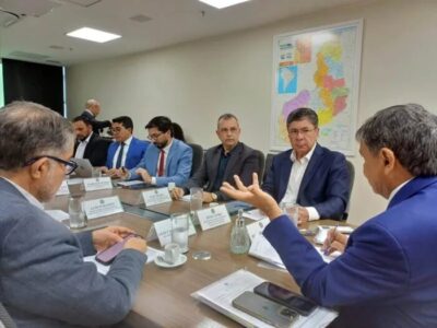 Governo do Piauí articula com MDS plano de vacinação e manejo para conter peste suína