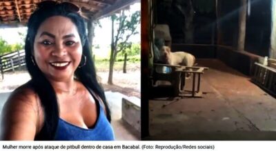 Maranhão – Pitbull mata tutora dentro de casa no povoado Cordeiro, em Bacabal