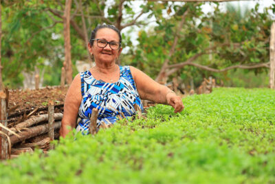 SAF anuncia investimento de R$ 4,6 milhões na agricultura familiar