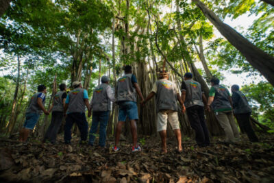 Oficina virtual do projeto Amazônia Viva reunirá participantes do Pará e do oeste do Maranhão