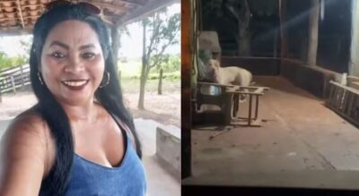 Dona de pitbull morre após ser atacada pelo animal na zona rural de Bacabal