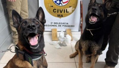 Polícia captura grupo com drogas e armas de fogo em Pinheiro