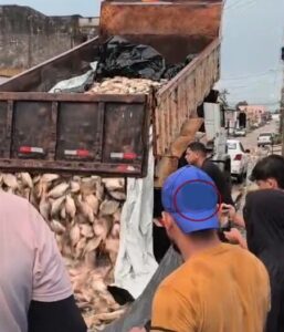 VEJAM QUE ABSURDO! Prefeito do interior do Maranhão humilha o povo na Semana Santa ao distribuir peixe em caçamba de lixo