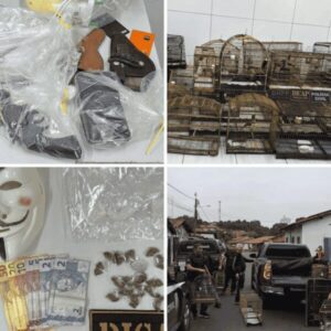 Operação desarticula pontos de tráfico de drogas e prende três pessoas em Timon