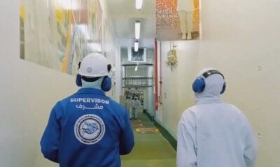 Frigoríficos investem em abate halal para exportarem carne bovina a mulçumanos