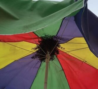 Enxame de abelhas mobiliza bombeiros e assusta pedestres no Centro de São Luís