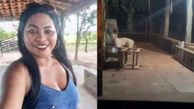 Pit-bull mata a própria dona enquanto ela fazia comida para o animal no interior do Maranhão