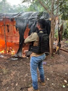 OPERAÇÃO DESTRÓI MAIS DE 10 MIL PÉS DE MACONHA E CAUSA PREJUÍZO MILIONÁRIO AO CRIME NO MARANHÃO