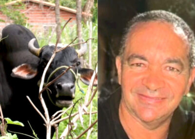 Dono de clube morre após ser atacado por boi de estimação na zona rural de Teresina