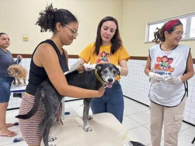 São João Batista sedia amanhã o primeiro Mutirão de Saúde Animal da Baixada Maranhense