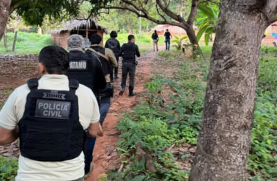 Polícia Civil apreende mais de 10 mil pés de maconha em Grajaú