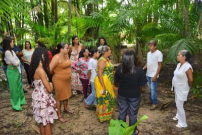 Juçara é referência para educação ambiental e geração de renda no Maracanã