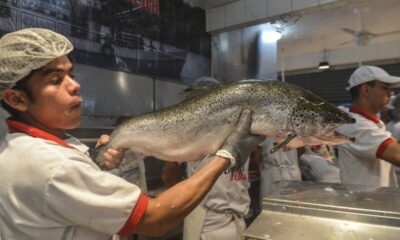 Maranhão é o segundo estado brasileiro em consumo de pescados, atrás apenas do Pará, segundo pesquisa Pesquisa IPC Maps